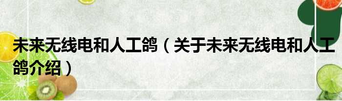未来无线电和人工鸽 关于未来无线电和人工鸽介绍