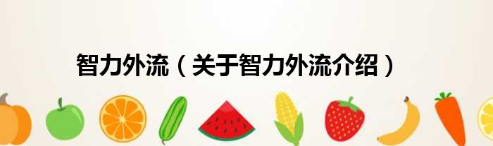 智力外流 关于智力外流介绍
