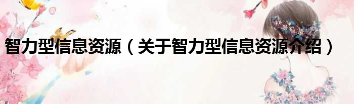 智力型信息资源 关于智力型信息资源介绍
