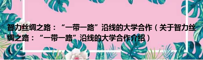 智力丝绸之路：“一带一路”沿线的大学合作 关于智力丝绸之路：“一带一路”沿线的大学合作介绍
