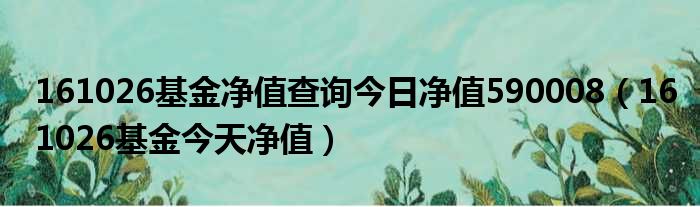 161026基金净值查询今日净值590008 161026基金今天净值
