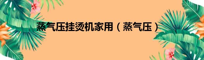 蒸气压挂烫机家用 蒸气压