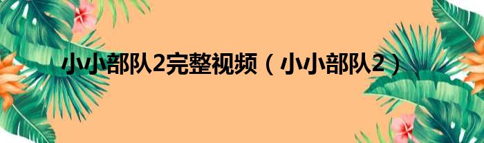 小小部队2完整视频 小小部队2
