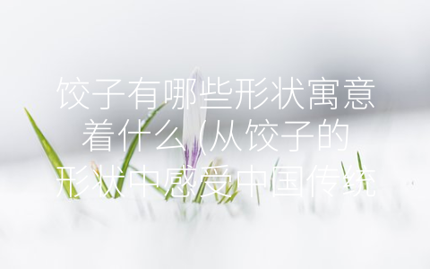 饺子有哪些形状寓意着什么 (从饺子的形状中感受中国传统文化的独特魅力。)