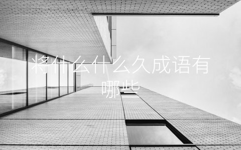 将什么什么久成语有哪些