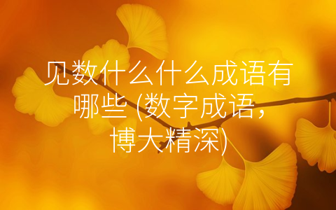 见数什么什么成语有哪些 (数字成语，博大精深)