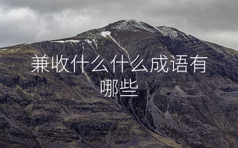 兼收什么什么成语有哪些