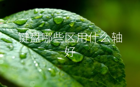 键盘哪些区用什么轴好