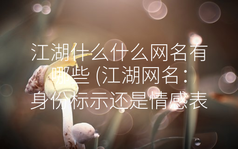 江湖什么什么网名有哪些 (江湖网名：身份标示还是情感表达？)