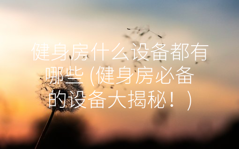 健身房什么设备都有哪些 (健身房必备的设备大揭秘！)