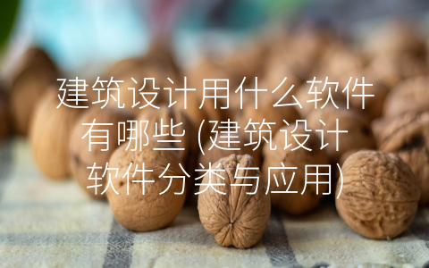 建筑设计用什么软件有哪些 (建筑设计软件分类与应用)