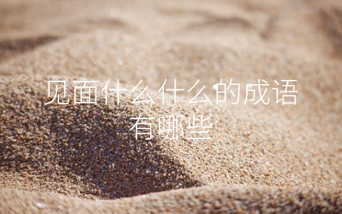 见面什么什么的成语有哪些