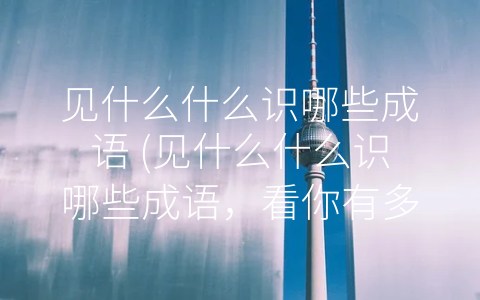 见什么什么识哪些成语 (见什么什么识哪些成语，看你有多少文化涵养！)