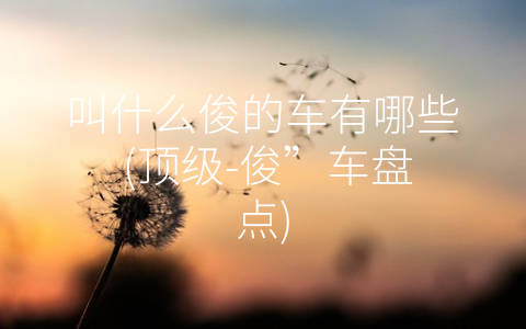 叫什么俊的车有哪些 (顶级-俊”车盘点)