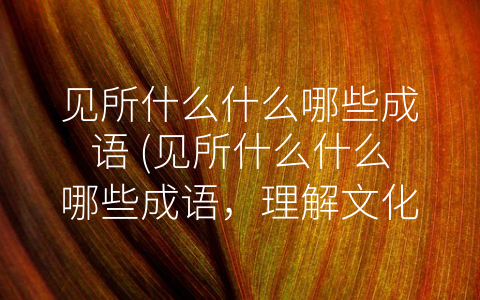 见所什么什么哪些成语 (见所什么什么哪些成语，理解文化内涵 豁达人生抉择)