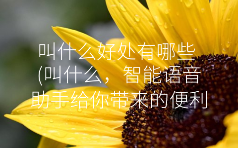 叫什么好处有哪些 (叫什么，智能语音助手给你带来的便利和个性化服务)