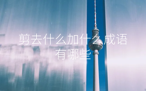 剪去什么加什么成语有哪些