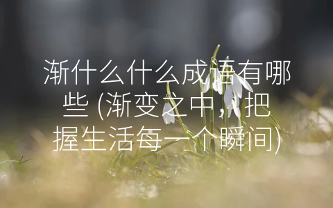 渐什么什么成语有哪些 (渐变之中，把握生活每一个瞬间)