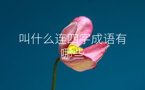 叫什么连四字成语有哪些