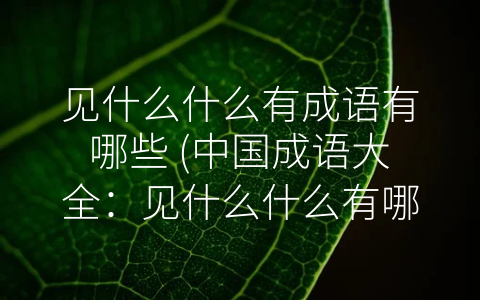 见什么什么有成语有哪些 (中国成语大全：见什么什么有哪些及寓意解析)