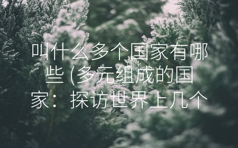 叫什么多个国家有哪些 (多元组成的国家：探访世界上几个由多个国家组成的国家)
