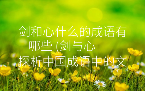 剑和心什么的成语有哪些 (剑与心——探析中国成语中的文化内涵)