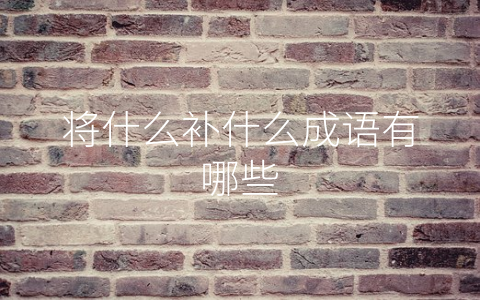 将什么补什么成语有哪些