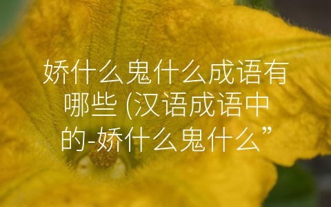 娇什么鬼什么成语有哪些 (汉语成语中的-娇什么鬼什么”)