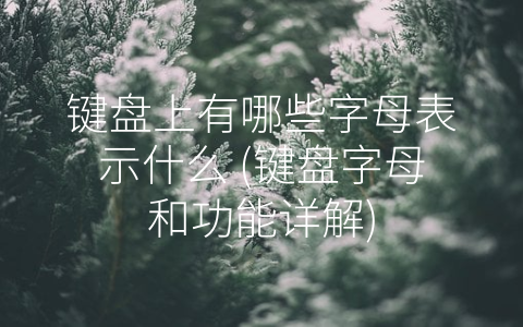 键盘上有哪些字母表示什么 (键盘字母和功能详解)
