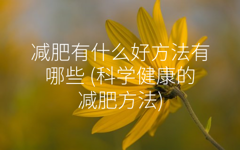 减肥有什么好方法有哪些 (科学健康的减肥方法)