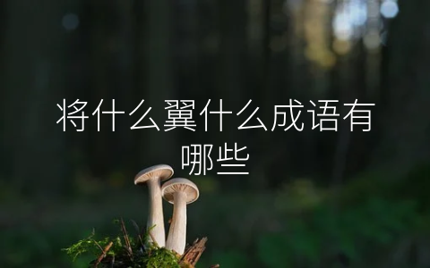 将什么翼什么成语有哪些