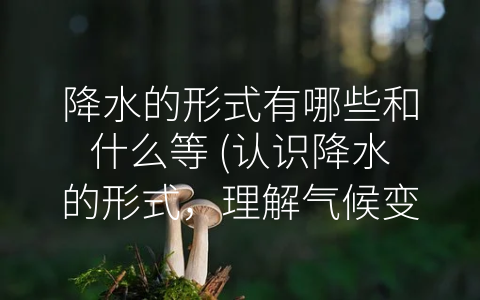 降水的形式有哪些和什么等 (认识降水的形式，理解气候变化)