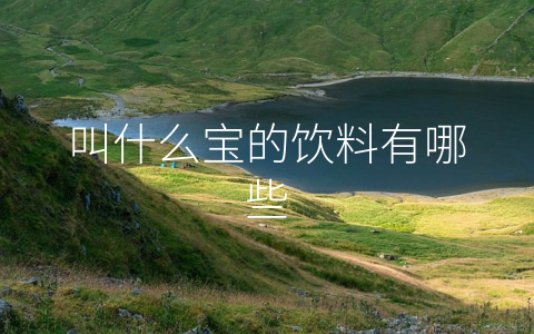 叫什么宝的饮料有哪些