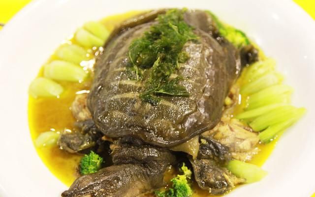 吃甲鱼有什么好处坏处是什么