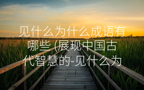 见什么为什么成语有哪些 (展现中国古代智慧的-见什么为什么”成语)