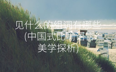 见什么的组词有哪些 (中国式比喻语言美学探析)