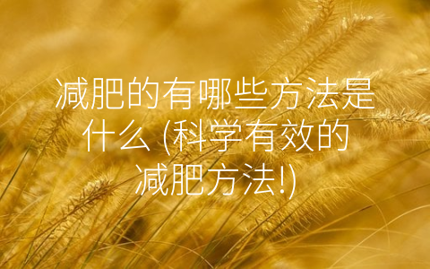 减肥的有哪些方法是什么 (科学有效的减肥方法!)