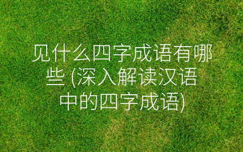见什么四字成语有哪些 (深入解读汉语中的四字成语)