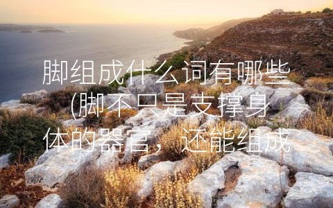 脚组成什么词有哪些 (脚不只是支撑身体的器官，还能组成这么多种类的词汇！)