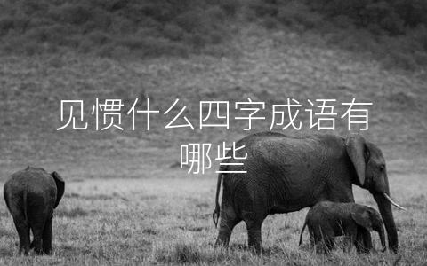 见惯什么四字成语有哪些