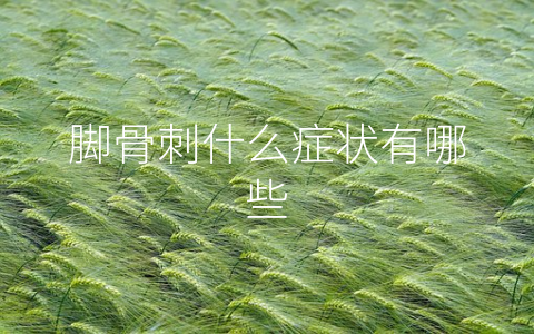 脚骨刺什么症状有哪些