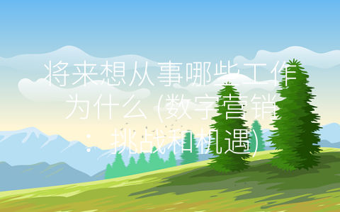 将来想从事哪些工作为什么 (数字营销：挑战和机遇)