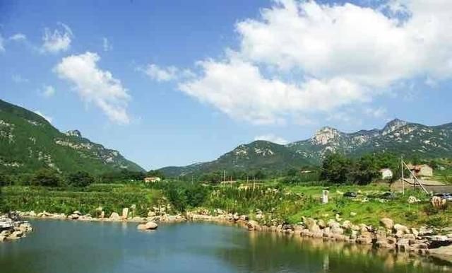 六岁那年它溜进来陪了我六年 直到12岁那年 非要嫁给我