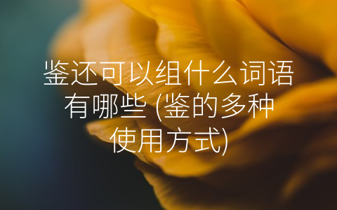 鉴还可以组什么词语有哪些 (鉴的多种使用方式)