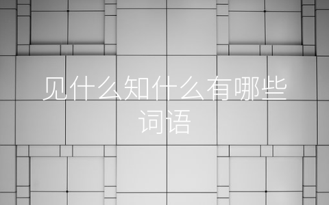见什么知什么有哪些词语