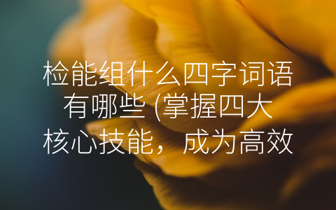 检能组什么四字词语有哪些 (掌握四大核心技能，成为高效检能组)