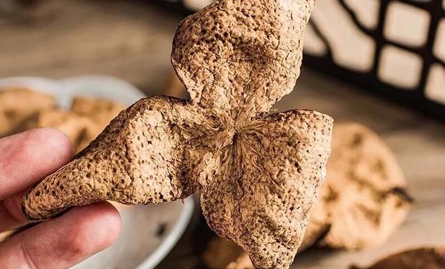 怎样的陈皮才算是好陈皮呢(圈枝陈皮和驳枝陈皮区别)图5