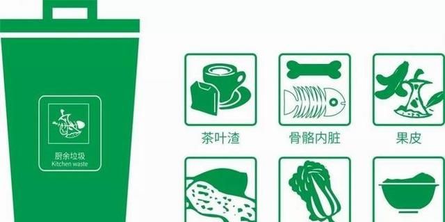 厨余垃圾有哪些种类图片 为什么厨余垃圾要被解决