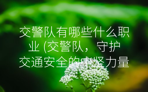 交警队有哪些什么职业 (交警队，守护交通安全的中坚力量)