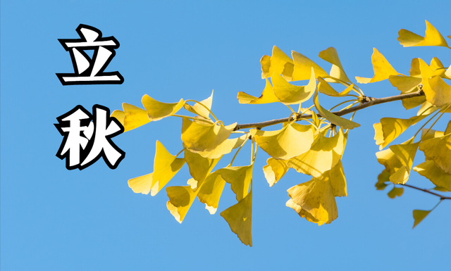 秋季蒸菜的做法大全